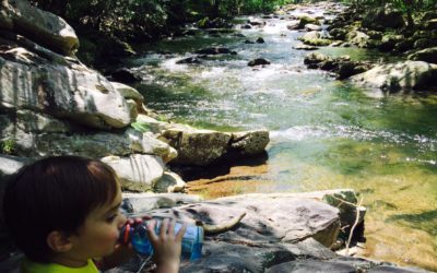 Where He Leads… 5 Keys to Following God’s Will